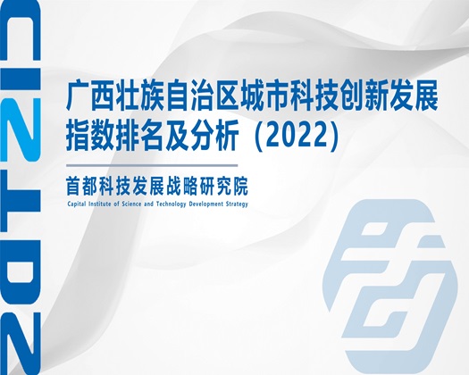 大鸡巴干着一区【成果发布】广西壮族自治区城市科技创新发展指数排名及分析（2022）